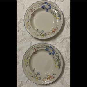 *SOLD* Two Large Rim Soup Bowls 9” RIVIERA by Villeroy & Boch ~ EUC